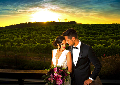 Vines of the Yarra Valley Wedding Reception Venue