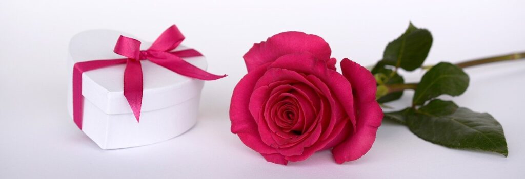 rose-gift